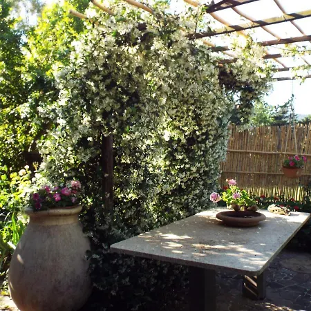 Πανσιόν Angeli E Cavalli Country